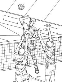 Volleyball