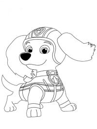 Dachshund Liberty fra PAW Patrol