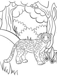 Søt leopard
