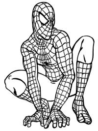 Spiderman sitter